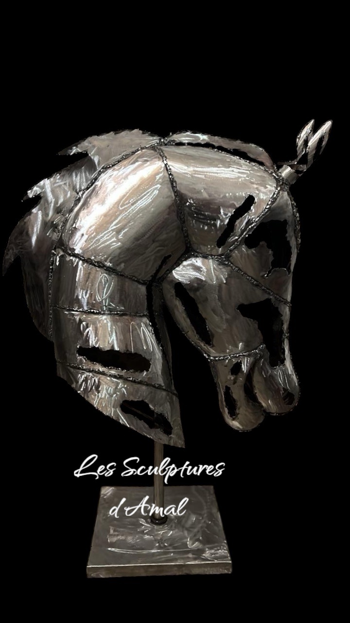 Support Mural Pour Selle De Cheval - Porte-selle Métallique Robuste, Rangement écurie, Grange, Club équestre - 32x60cm