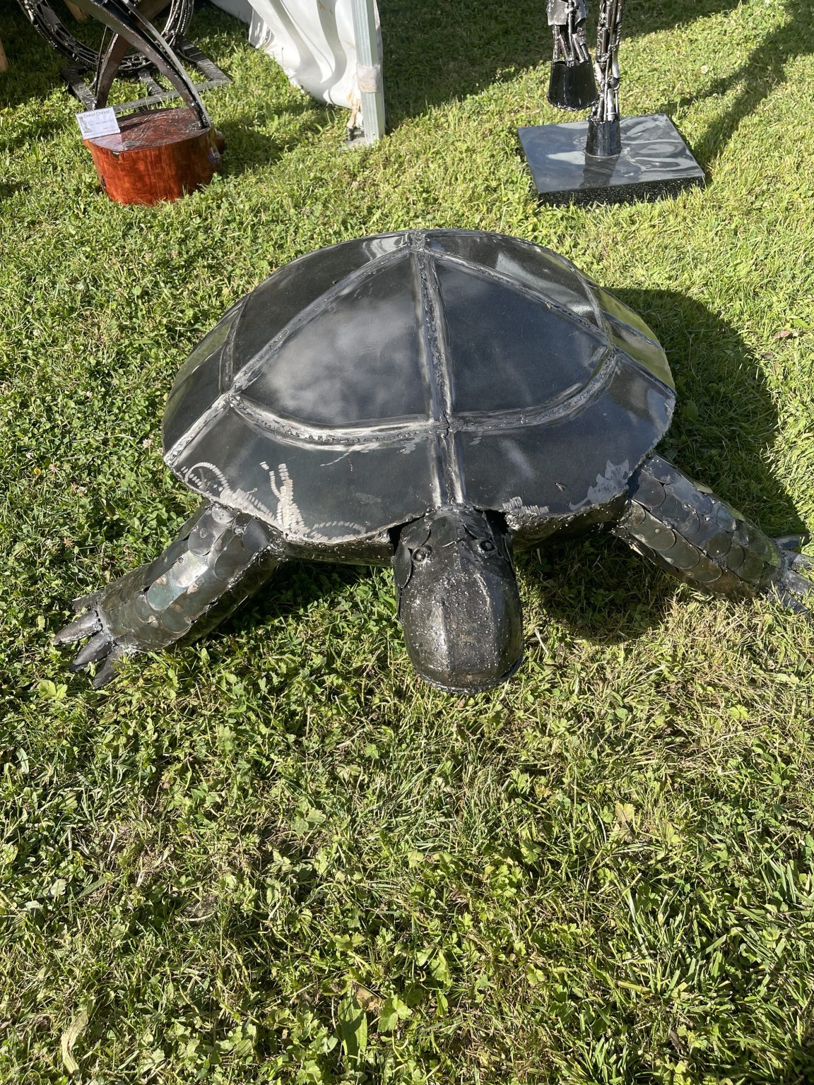 Tortue Carapace d’Acier