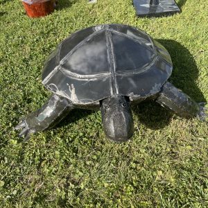 Tortue Carapace d’Acier