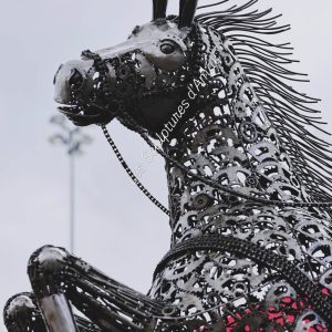 Cheval & Indien